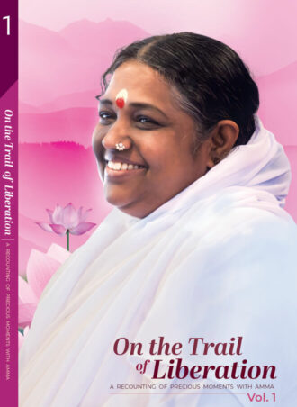 On-The-Trail-Of-Liberation-Volume-1-English-front.jpg